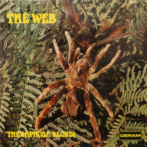 Web, The - Theraphosa Blondi (UK 1969)