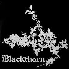 Blackthorn Blackthorn