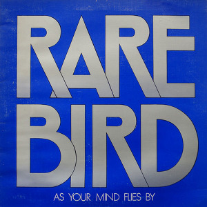 Rare Bird As Your Mind Flies By
