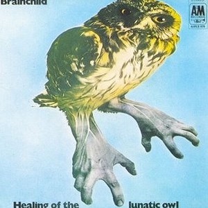 Brainchild Healing Of The Lunatic Owl
