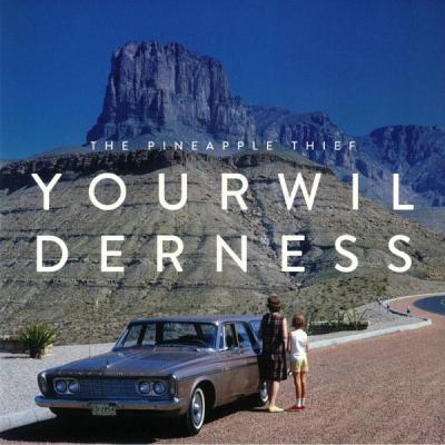The Pineapple Thief - Your Wilderness (2016)