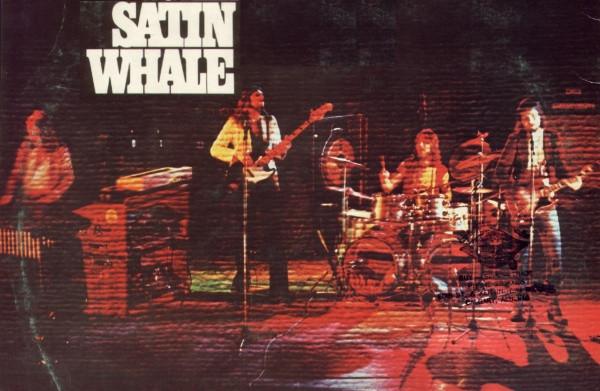 Satin Whale
