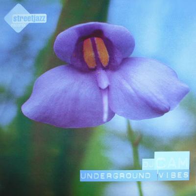 DJ Cam - Underground Vibes (1995)