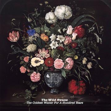 The Wild Swans - The Coldest Winter For A Hundred Years (2011)