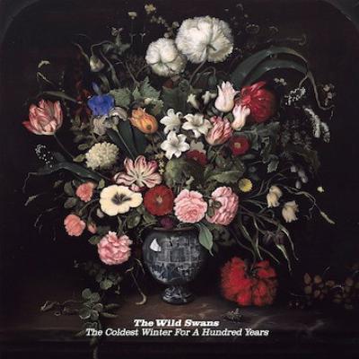 The Wild Swans - The Coldest Winter For A Hundred Years (2011)