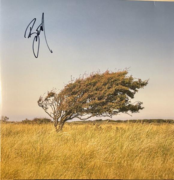 Bjørn Riis - A Fleeting Glimpse (2022)