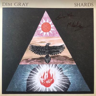 Dim Gray - Shards (2025)