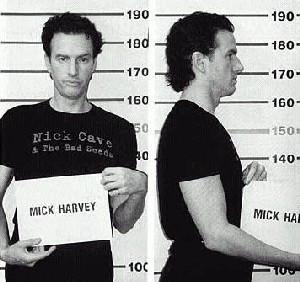 Mick Harvey Featuring Anita Lane