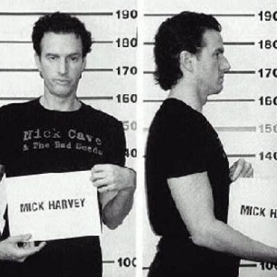 Mick Harvey Featuring Anita Lane