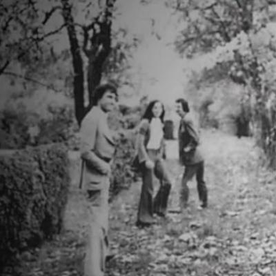 Alice Island Band
