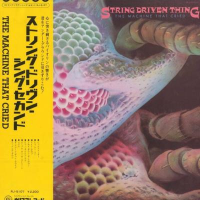 String Driven Thing - The Machine That Cried (1973)