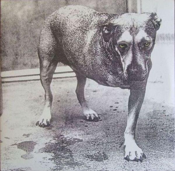 Alice In Chains - Alice In Chains (1995)