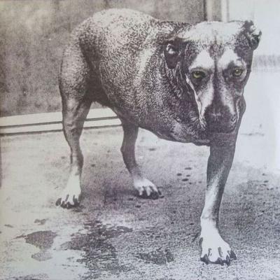 Alice In Chains - Alice In Chains (1995)