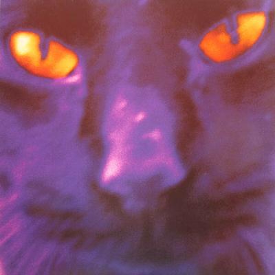 David Kilgour And The Heavy Eights - Bobbie's A Girl (2019)