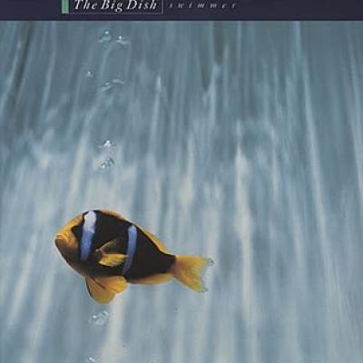 The Big Dish - Swimmer (1986)