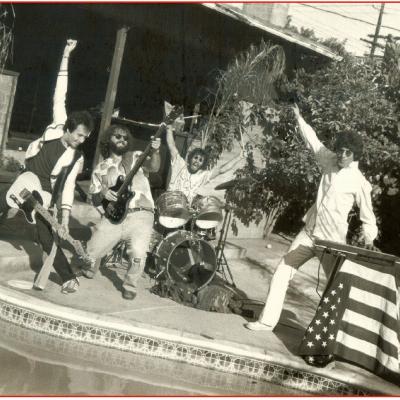 The Acid Casualties