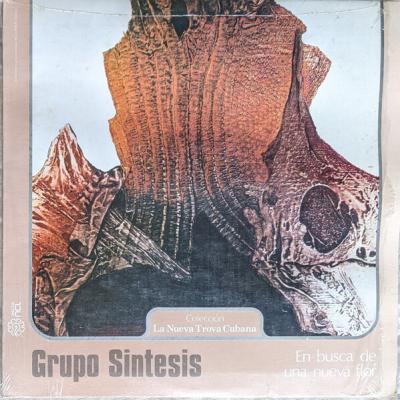 Grupo Sintesis - En Busca De Una Nueva Flor (1978)
