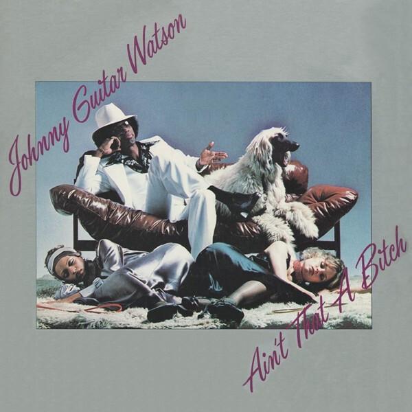 Johnny Guitar Watson - Ain't That A Bitch (1976)