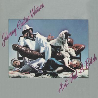 Johnny Guitar Watson - Ain't That A Bitch (1976)