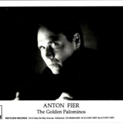 The Golden Palominos