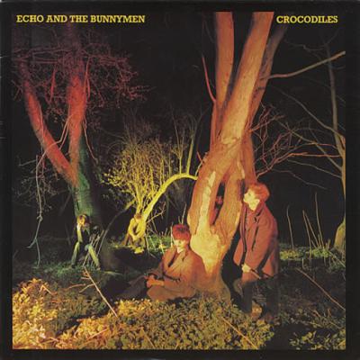 Echo And The Bunnymen - Crocodiles (1980)